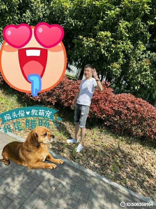 我若不坚强谁替我勇敢的第一张照片--安徽蓝颜知己交友网